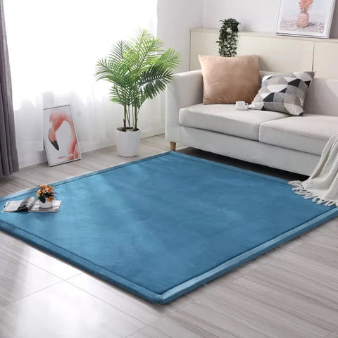 Navak Carpet Coral velvet padded non-slip carpet thick 3cm children's tatami mats bay windows custom mats Bedroom Lving Room Rug Floor Rugs