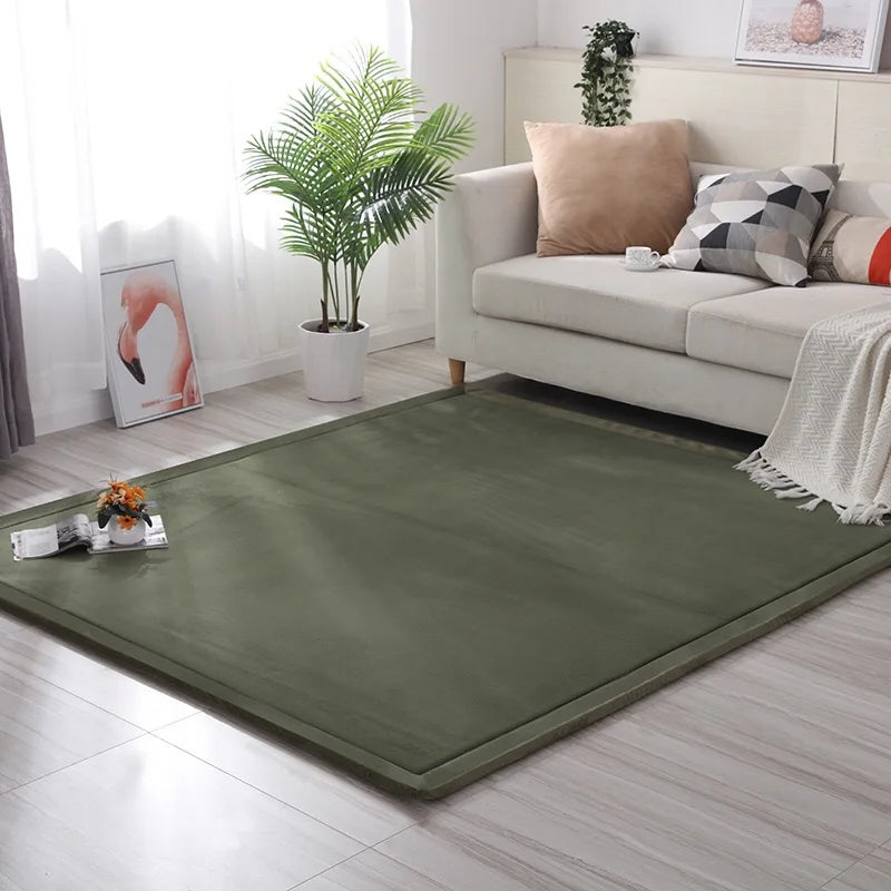 Navak Carpet Coral velvet padded non-slip carpet thick 3cm children's tatami mats bay windows custom mats Bedroom Lving Room Rug Floor Rugs