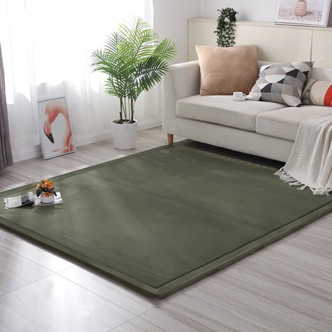 Navak Carpet Coral velvet padded non-slip carpet thick 3cm children's tatami mats bay windows custom mats Bedroom Lving Room Rug Floor Rugs