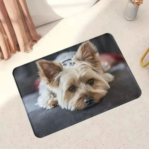 Navak Carpet Exclusive Picks Crystal Velvet Bedroom Living Room Bedside Rug Children Adults Front Door Mat Non-Slip Dirty Resistant