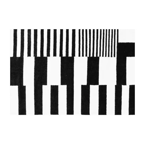 Navak Carpet Nordic Fluffy Plush Carpets for Living Room Light Luxury Zebra Pattern Bedroom Decor Carpet Home Large Area Anti-Slip Lounge Rug