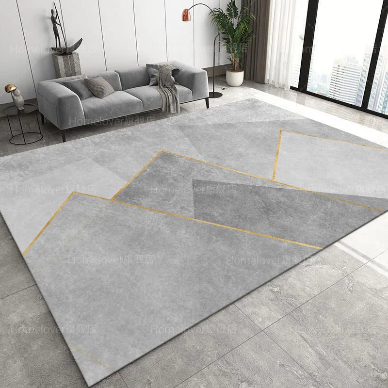 Navak Carpet Deluxe Grey Carpet Living Room Decoration Home Bedroom Carpet Lounge Rug Entrance Door Mat Foot  Area Rug Large  Nordic style