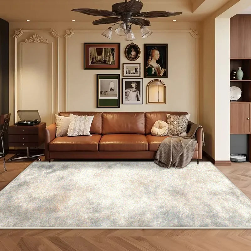 Navak Carpet Ins Abstract Art Soft Carpet Living Room Cloakroom Area Thickening Rug Washable Rugs for Bedroom Room Decor Non-slip Mat160x230