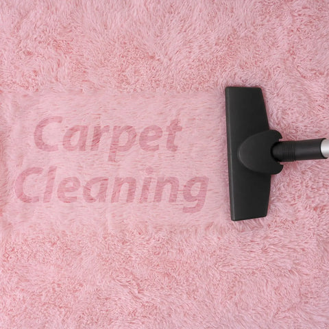 Navak Carpet Oval Fluffy Ultra Soft Area Rugs for Bedroom Plush Shaggy Carpet for Kids Room Bedside Nursery Mats, 2.6 x 5.3ft