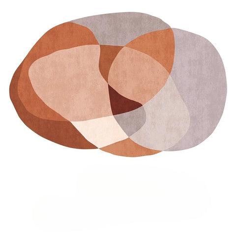 Navak Carpet Irregular Shapes Living Room Decoration Carpet Nordic Style Rugs for Bedroom Thick Plush Lounge Floor Mat Fluffy Soft Study Rug