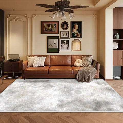 Navak Carpet Ins Abstract Art Soft Carpet Living Room Cloakroom Area Thickening Rug Washable Rugs for Bedroom Room Decor Non-slip Mat160x230