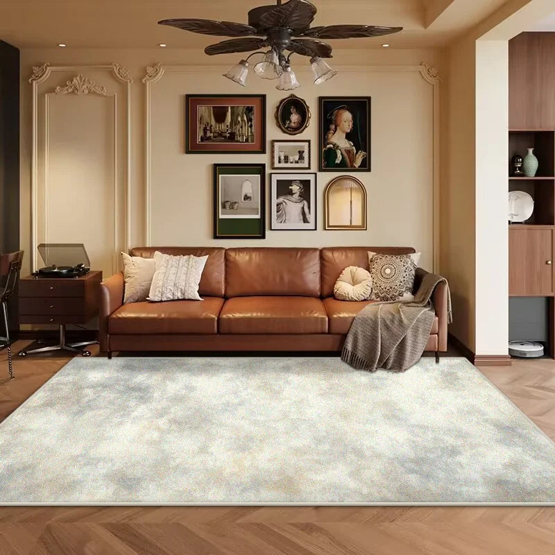 Navak Carpet Ins Abstract Art Soft Carpet Living Room Cloakroom Area Thickening Rug Washable Rugs for Bedroom Room Decor Non-slip Mat160x230