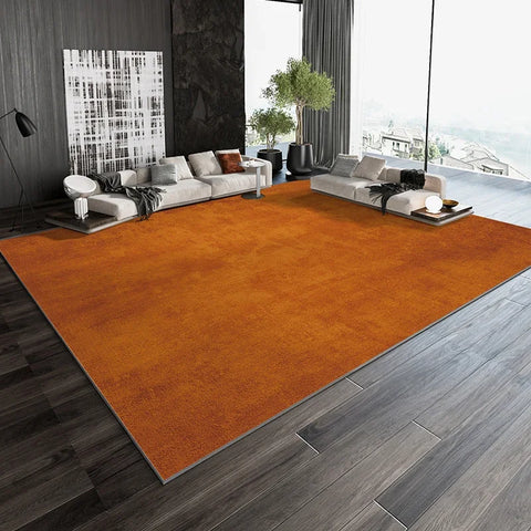 Navak Carpet Nordic Living Room Large Area Carpets Home Decoration Bedroom Bed Blanket Casual Rugs Sofa Tea Table Carpet Area Carpet