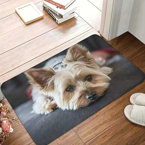 Navak Carpet 1PC Charactors pattern Kitchen Rugs Non-Slip Home Door Mats Pop design Bathroom Rugs Bath Mat Carpet for Home Sink Laundry Decor