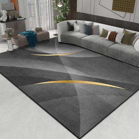 Navak Carpet Deluxe Grey Carpet Living Room Decoration Home Bedroom Carpet Lounge Rug Entrance Door Mat Foot  Area Rug Large  Nordic style