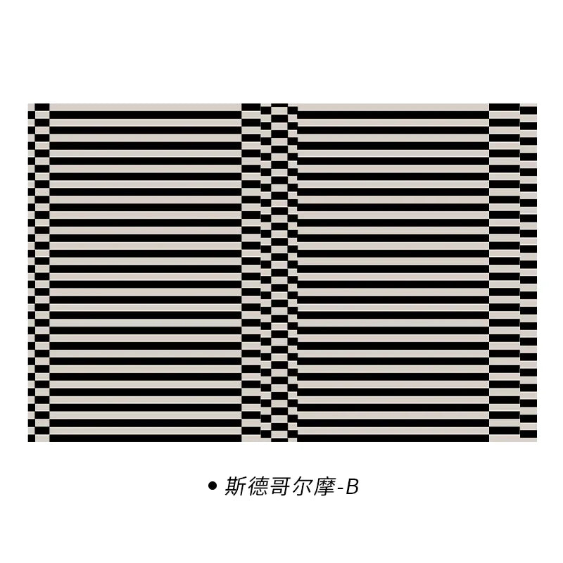 Navak Carpet Simple Black Stripe Living Room Decoration Carpet Ins Nordic Bedroom Bedside Plush Non-slip Mat Luxury Study Cloakroom Soft Rug