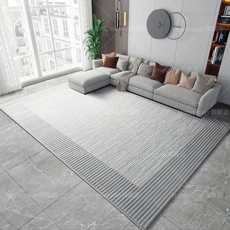 Navak Carpet Deluxe Grey Carpet Living Room Decoration Home Bedroom Carpet Lounge Rug Entrance Door Mat Foot  Area Rug Large  Nordic style
