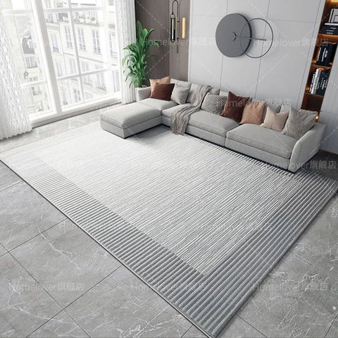 Navak Carpet Deluxe Grey Carpet Living Room Decoration Home Bedroom Carpet Lounge Rug Entrance Door Mat Foot  Area Rug Large  Nordic style