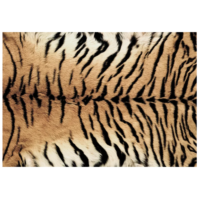 Navak Carpet Nordic Fluffy Plush Carpets for Living Room Light Luxury Zebra Pattern Bedroom Decor Carpet Home Large Area Anti-Slip Lounge Rug