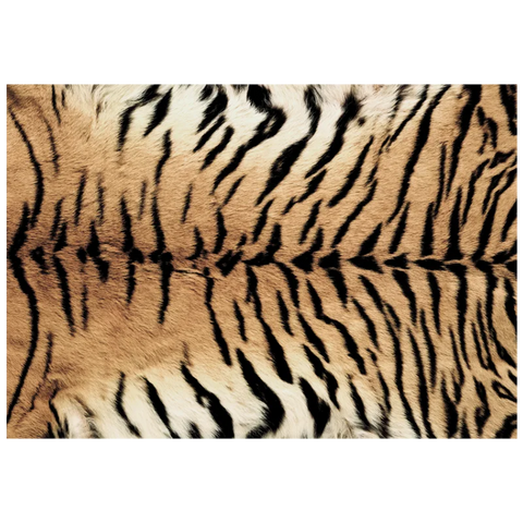 Navak Carpet Nordic Fluffy Plush Carpets for Living Room Light Luxury Zebra Pattern Bedroom Decor Carpet Home Large Area Anti-Slip Lounge Rug